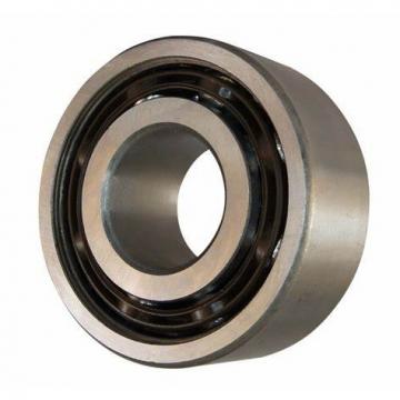 Zys ISO Certification Double Row Type Angular Contact Ball Bearings 3205/3305 for High Frequency Motor