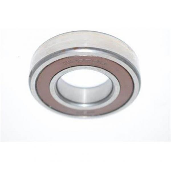 NSK 6204du 6204DDU Auto Ball Bearings 6202, 6204, 6206, 6208, 6210 Duucm #1 image